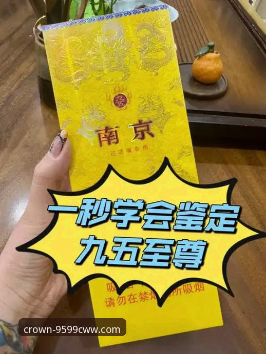 九五至尊会员登录实战详解：选对入口避开坑